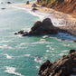 Carvings of the Coast
