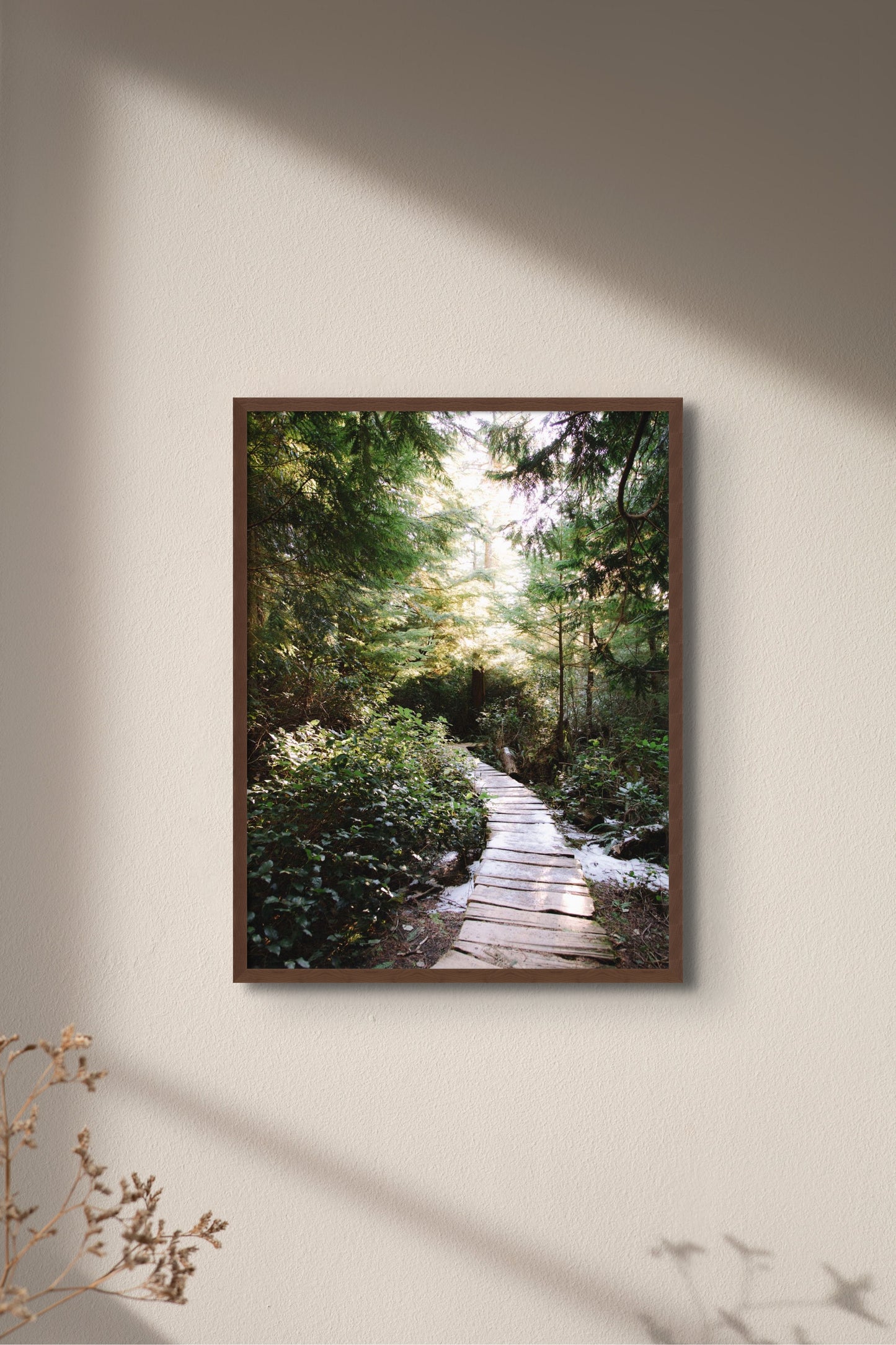 Journey of a Forest Fairy