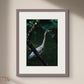 Morikami's Great Blue Heron